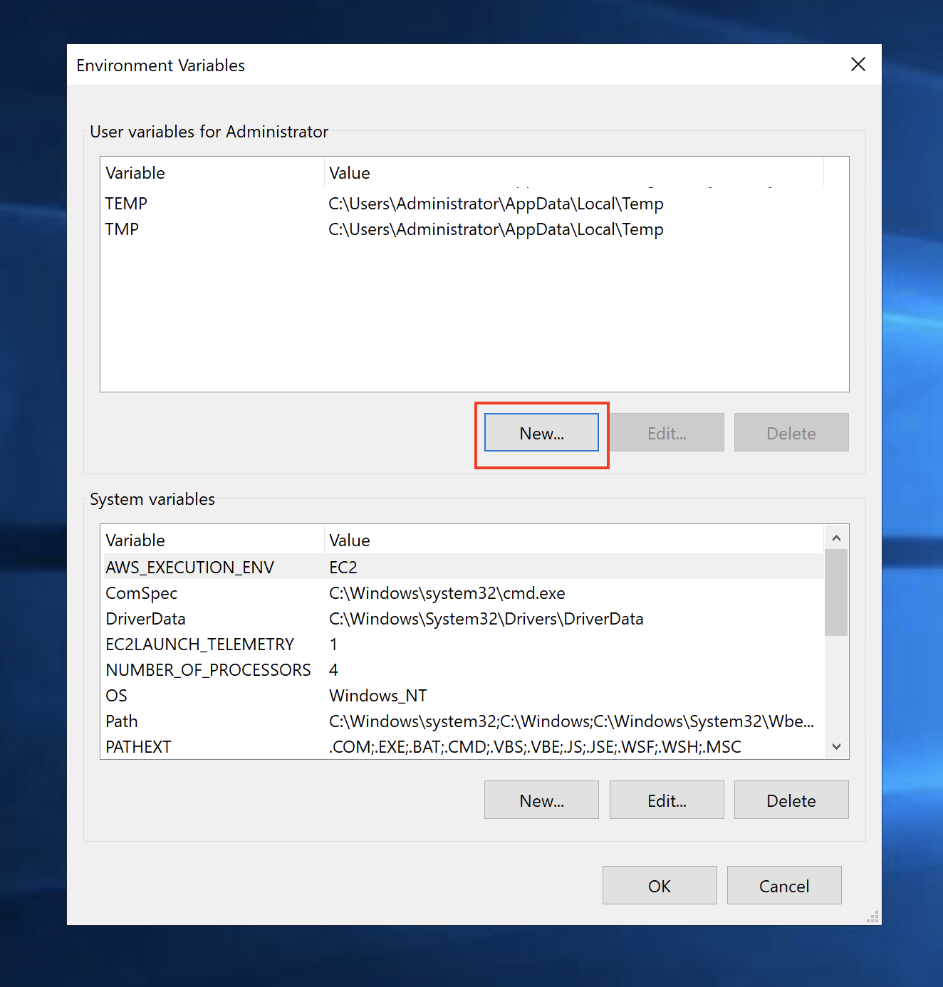 Environment Variables box