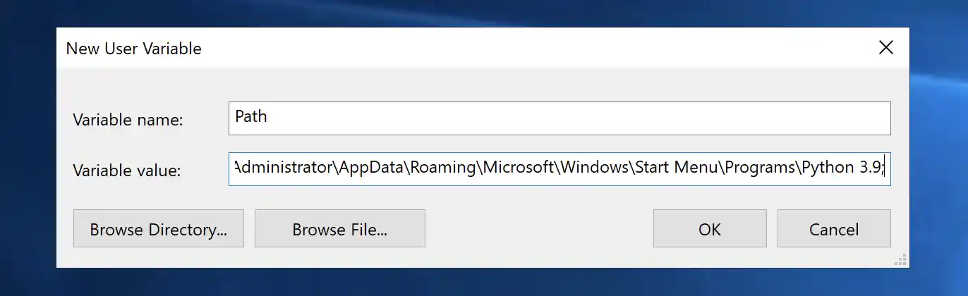 New Environment Variable box